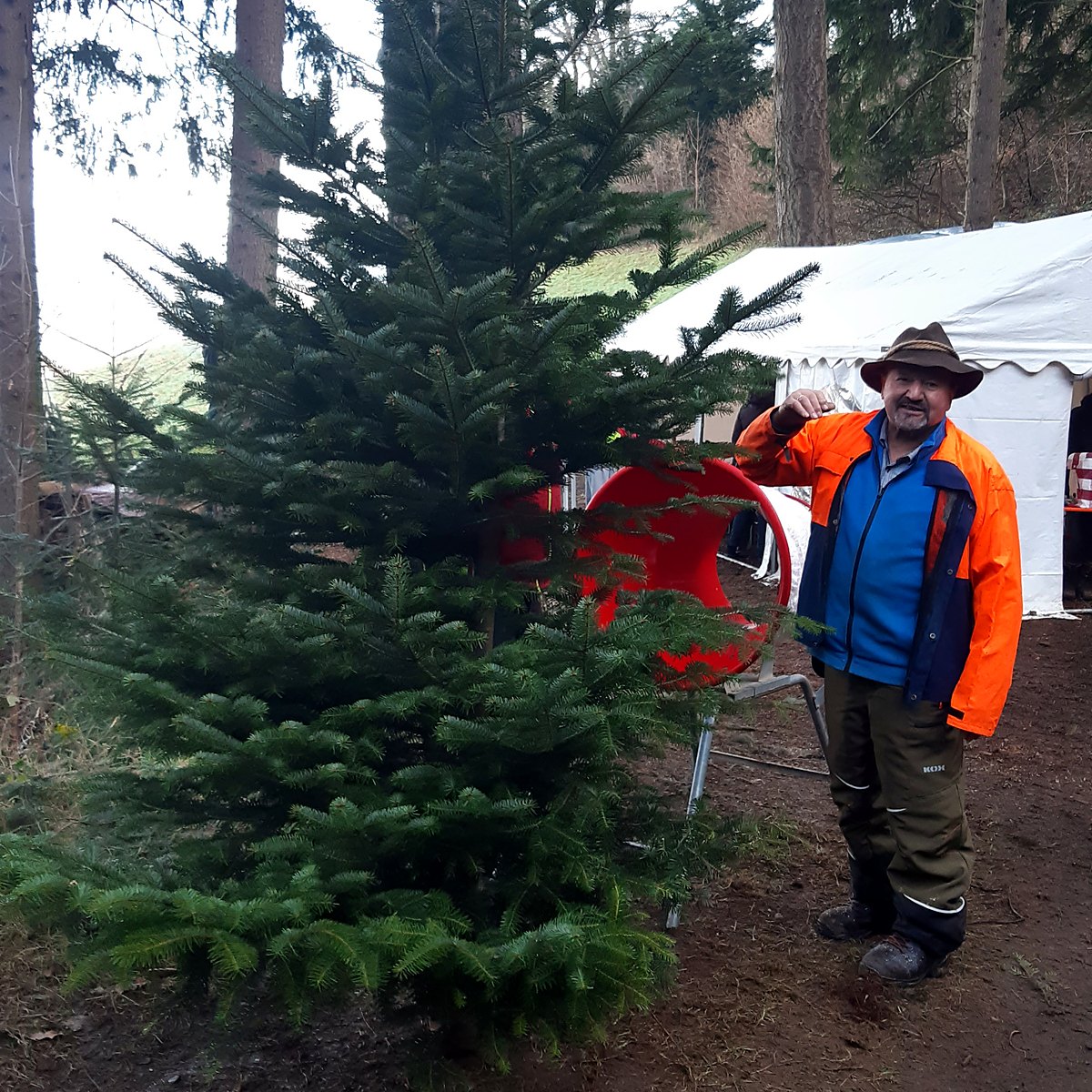 Geschäftskunden feier 2 baum hugo