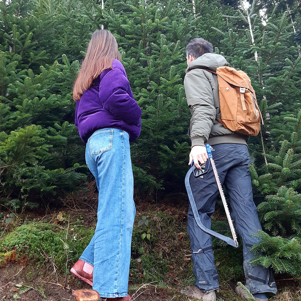 Geschäftskunden feier 3 baum aussuchen
