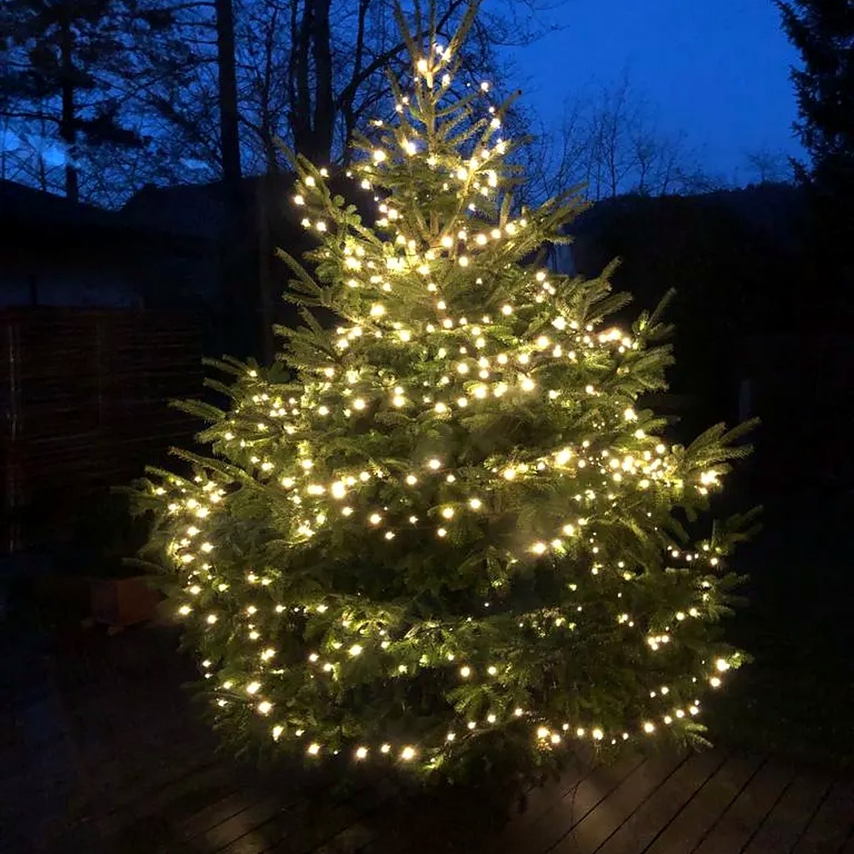 Geschäftskunden feier 5 lichterbaum